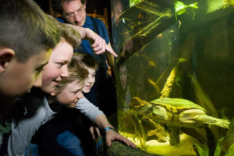 Munich: Day Ticket to Sea Life - Discover the Underwater World of Sea Life Munich with a One-Day Ticket
