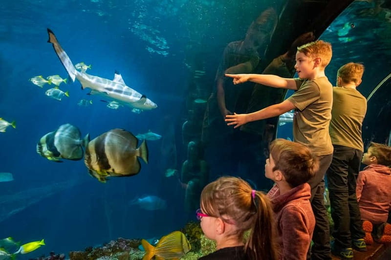 Munich: Day Ticket to Sea Life - Key Points