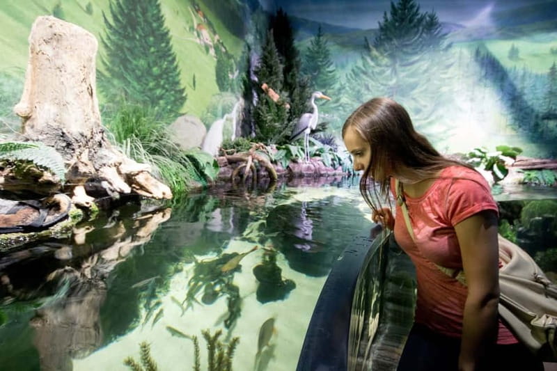 Munich: Day Ticket to Sea Life - Marine Exhibits from Local to Tropical Waters