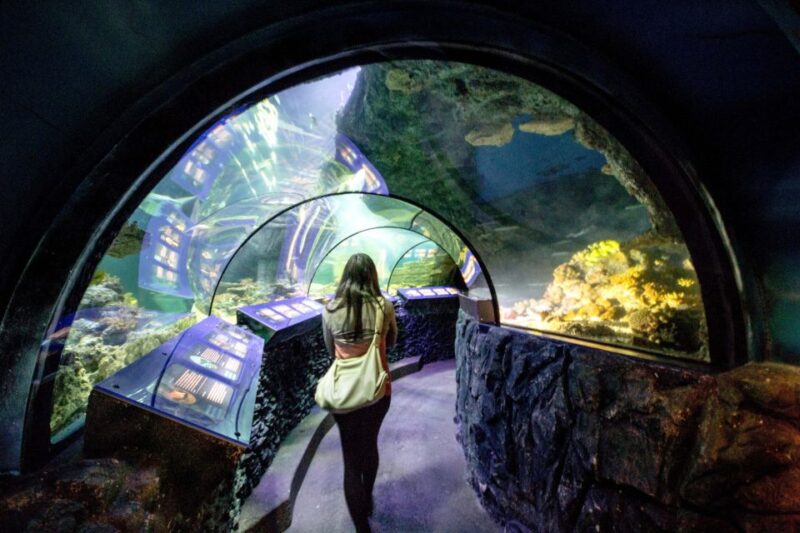 Munich: Day Ticket to Sea Life - Daily Feeding Shows and Educational Opportunities