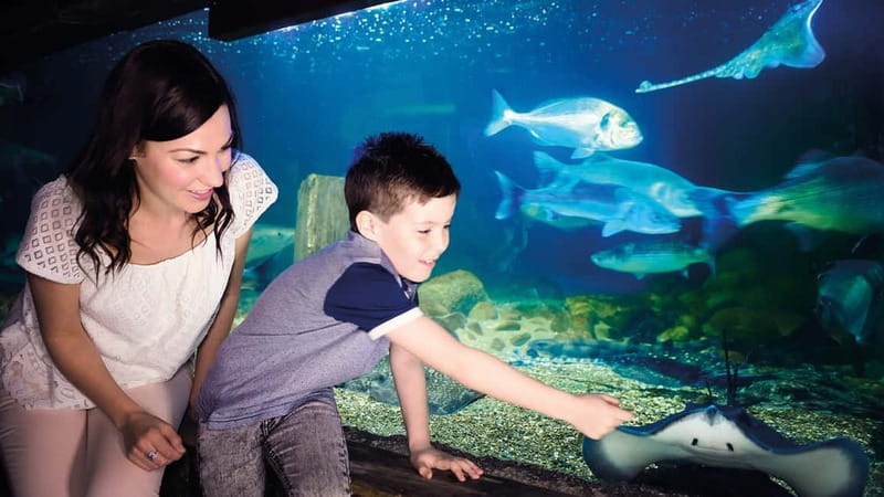 Munich: Day Ticket to Sea Life - Practical Details: Accessibility and Booking