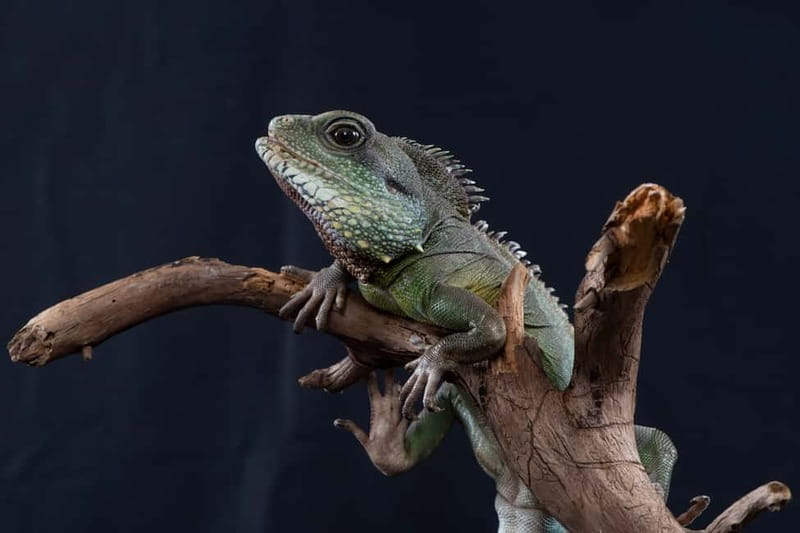 Munich: Day Ticket to Sea Life - Value for Money and Visitor Experience