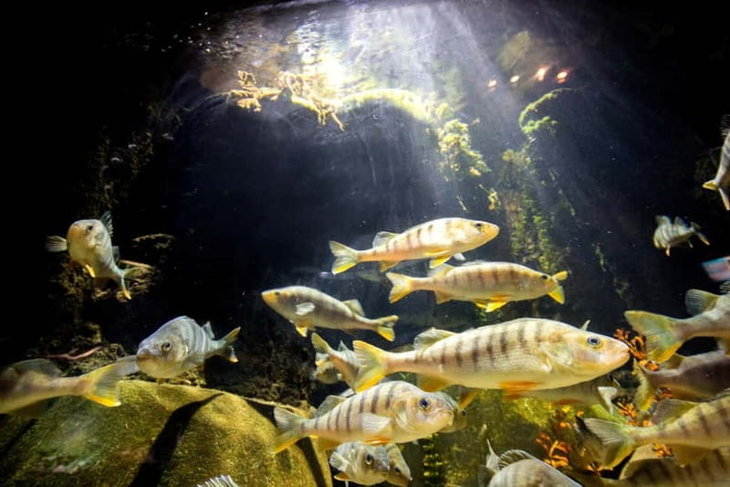 Munich: Day Ticket to Sea Life - Final Thoughts on Visiting Sea Life Munich