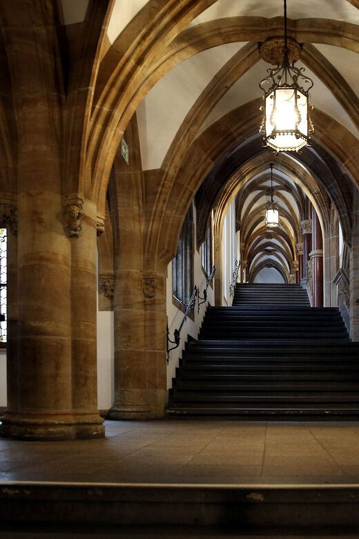 Munich: Law Library Guided Visit with Entry Tickets - What to Expect During the 30-Minute Guided Tour