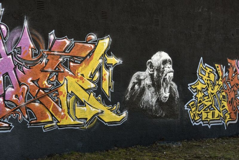 Munich: Street Art Bike Tour - Why This Tour Stands Out Compared to Similar Experiences