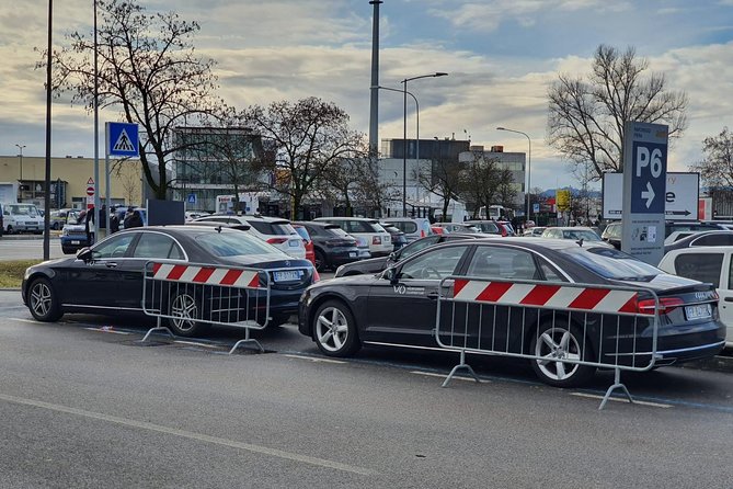 Munich to Munich Airport (MUC) - Departure Private Transfer - Limitations and Considerations