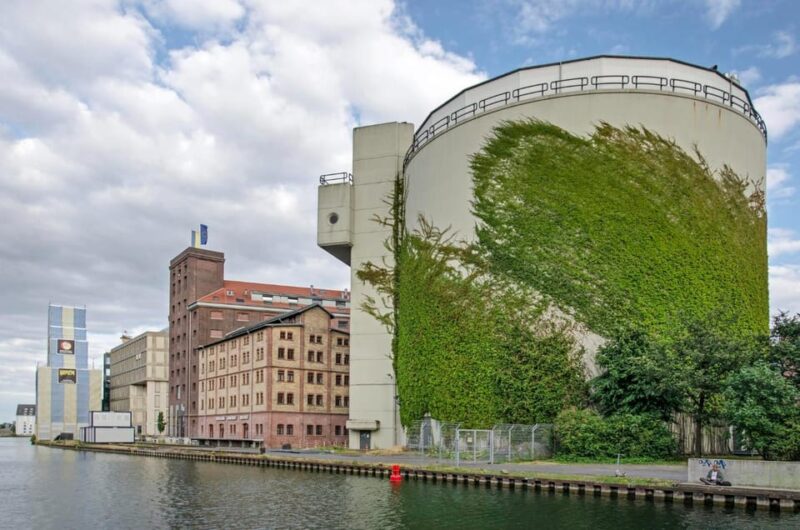 Munster: Insta-Perfect Walk with a Local - Key Points