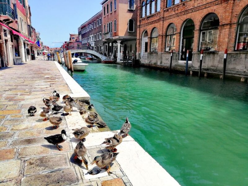 Murano: Glass Lampwork Workshop and Walking Tour - Why This Tour Stands Out Among Murano Experiences