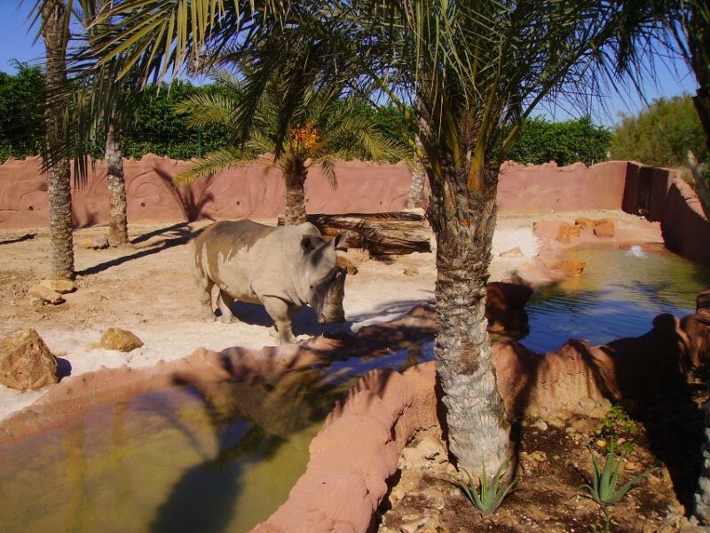 Murcia: Terra Natura Murcia Ticket Entry - Safety, Accessibility, and Visitor Requirements
