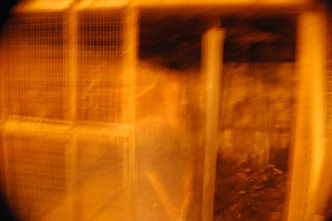 Murder & Mayhem Haunted History Walking Tour - The Experience: Combining History and Ghost Stories