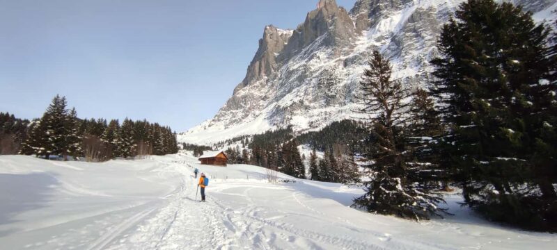 Mürren & Grindelwald: Snowshoe Tour with Raclette Picnic - Discover the Snowshoe Adventure in the Swiss Alps with a Raclette Picnic