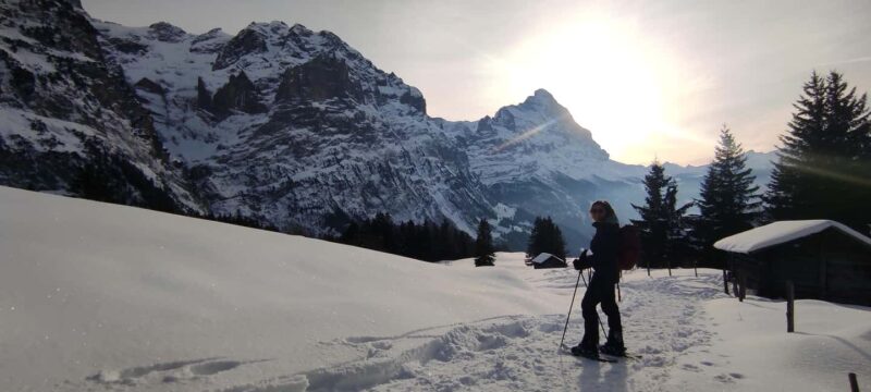 Mürren & Grindelwald: Snowshoe Tour with Raclette Picnic - Scenic Snowshoe Trails Above Lauterbrunnen and Grindelwald