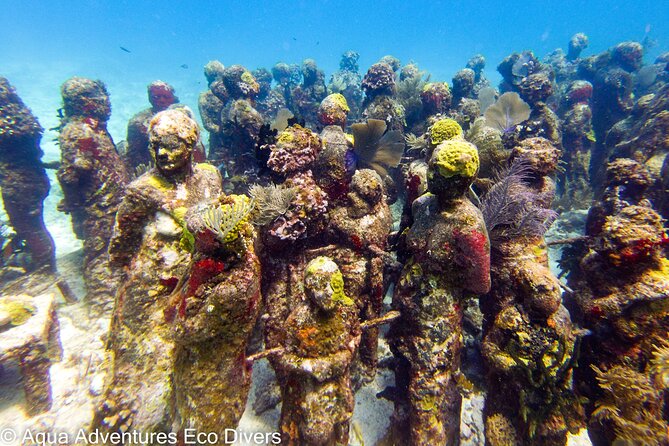 MUSA Museum and Colorful Reef 2 Tank Dive-Certified Divers - Small Group Experience and Personal Attention