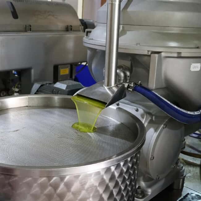 Musai Olive Oil Tour and Tasting - Accessibility and Practical Details