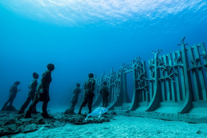 Museo Atlantico for certified divers - Pricing, Booking, and Cancellation Policies