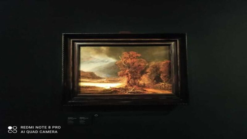 Museo Czartoryski: Visita in italiano e salta la fila. - Key Points