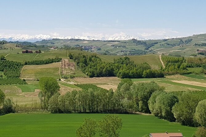 Museo delle Langhe Entrance Ticket - Explore the Historic Grinzane Cavour Castle and Its Museum for Just $9.38