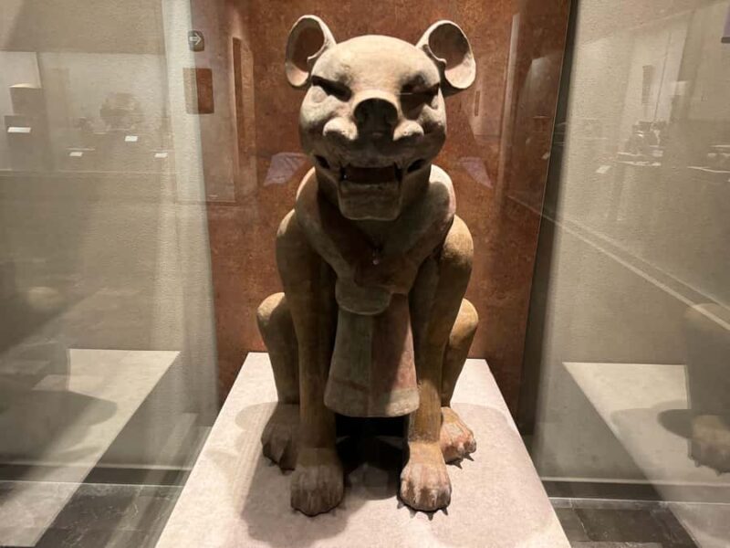 Museo Nacional de Antropología with a Certified Guide - What Sets This Tour Apart from Other Museum Experiences