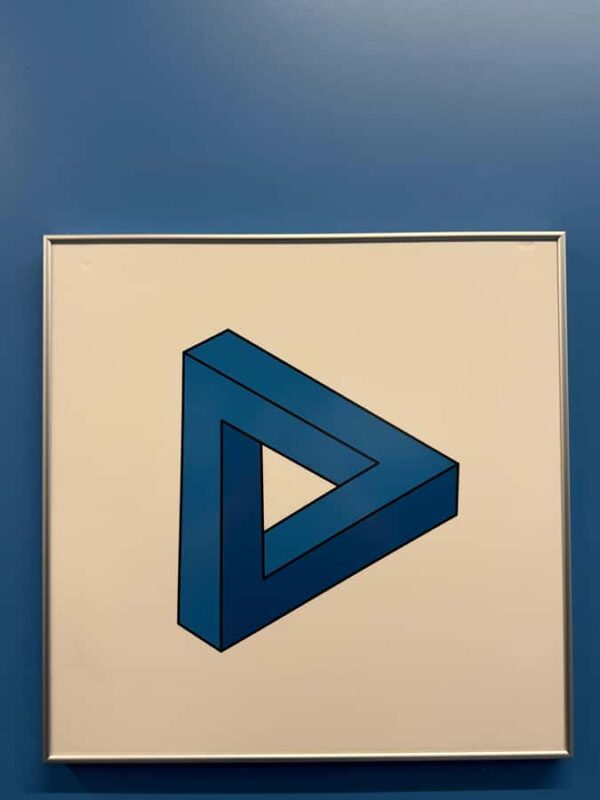 Museum of Illusions Entry Ticket - Who Will Enjoy the Museum of Illusions Houston Most