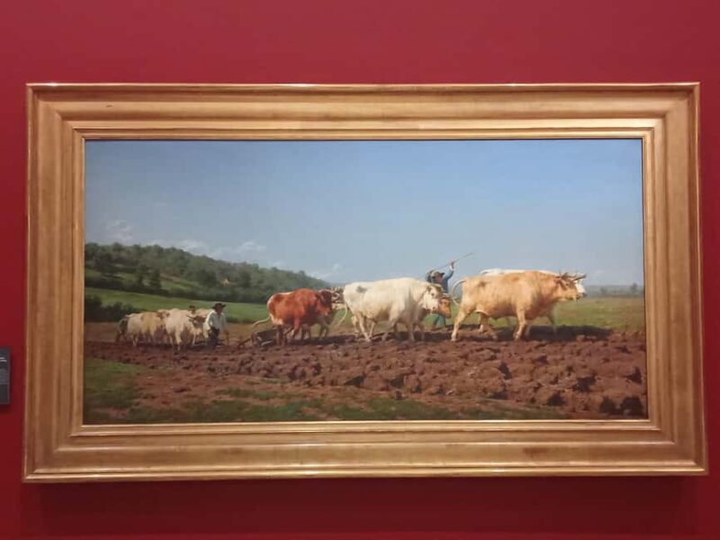 Museum of Orsay Hidden Gems Private Guided Tour - What’s Not Allowed During the Tour