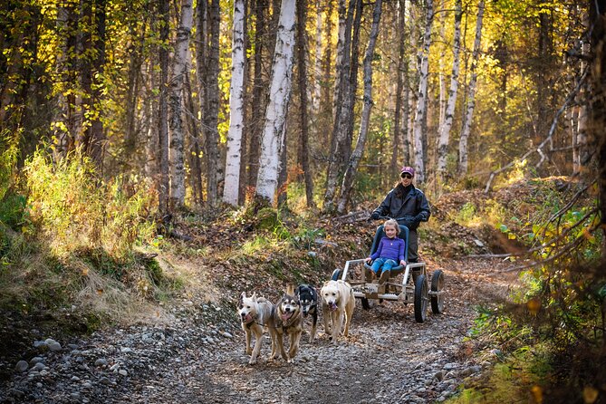 Mush Your Own Sled Dog Team (Summer/Fall Tour) - Booking and Cancellation Flexibility