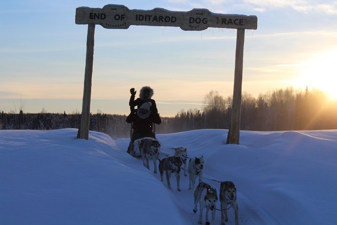 Mush Your Own Sled Dog Team (Winter Tour) in Talkeetna, Alaska - Practical Details and Logistics of the Tour