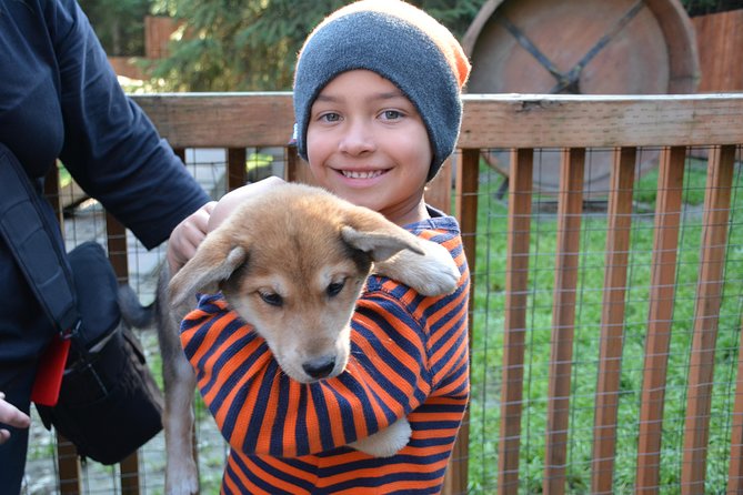 Musher's Camp and S'more Roasting Experience - Smores and Hot Chocolate at Basecamp