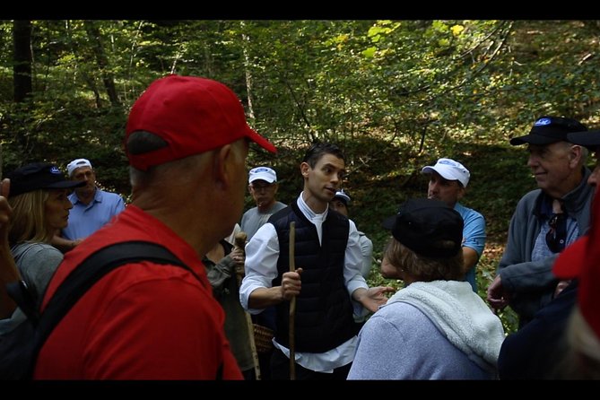 Mushroom or Truffle Hunting - What You Can Expect During the Forest Hunt