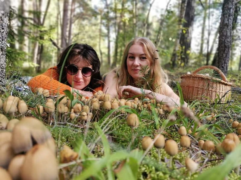 Mushroom picking in the forests near Riga - Safety and Identification of Mushrooms