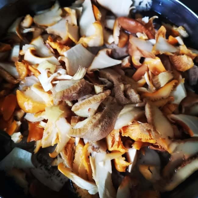 Mushroom picking in the forests near Riga - Post-Trip: Cooking and Recipes