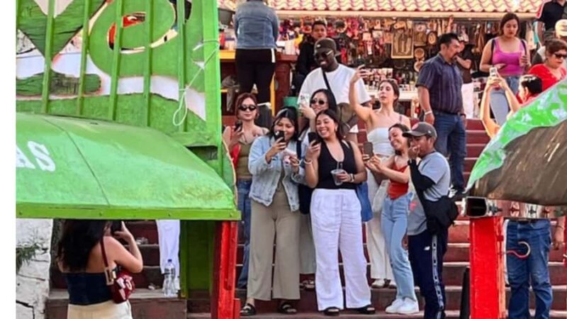 Music and Tequila in Xochimilco, plus a visit to Coyoacán and CU - Value and Considerations