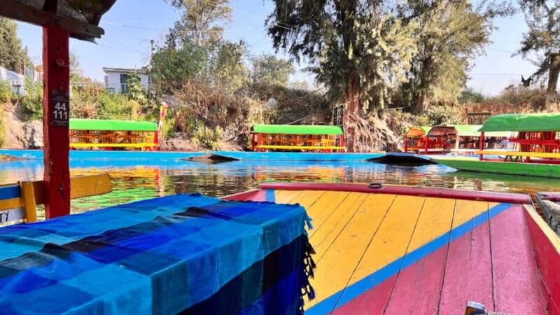 Music and Tequila in Xochimilco, plus a visit to Coyoacán and CU - Suitable For Who?
