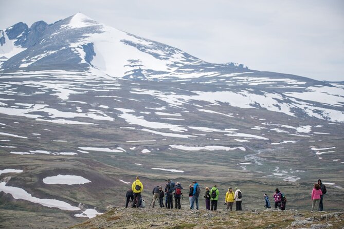 Musk ox Safari in Dovrefjell National Park from Oppdal - Practical Tips for Participants