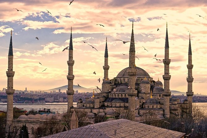 Must See in Istanbul: Private Full-Day Experience & Local Lunch - Walking Through the Historic Hippodrome