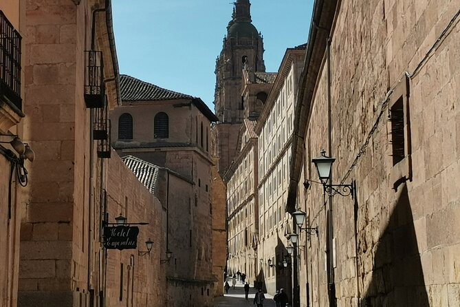 Must see Salamanca Walking Tour (could be billingual) - Visiting the Iconic Cathedrals: New and Old