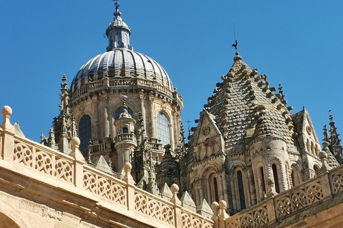 Must see Salamanca Walking Tour (could be billingual) - Why This Tour Offers Great Value