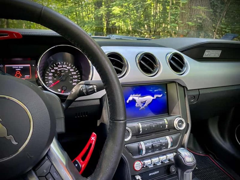 Mustang Paris Tours - Pricing, Cancellation, and Booking Flexibility