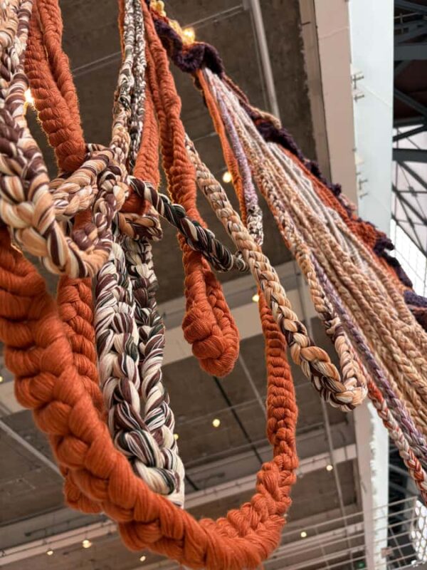 MX: Vasconcelos Library & Santa María la Ribera Neighborhood - Tasting Food at El Califa: A Flavorful Introduction