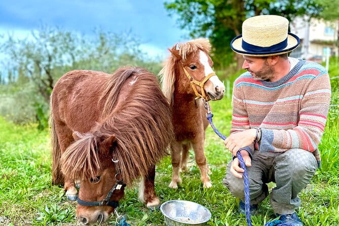 My Farm - three experiences in one day - Comfortable Transportation with a Private Driver