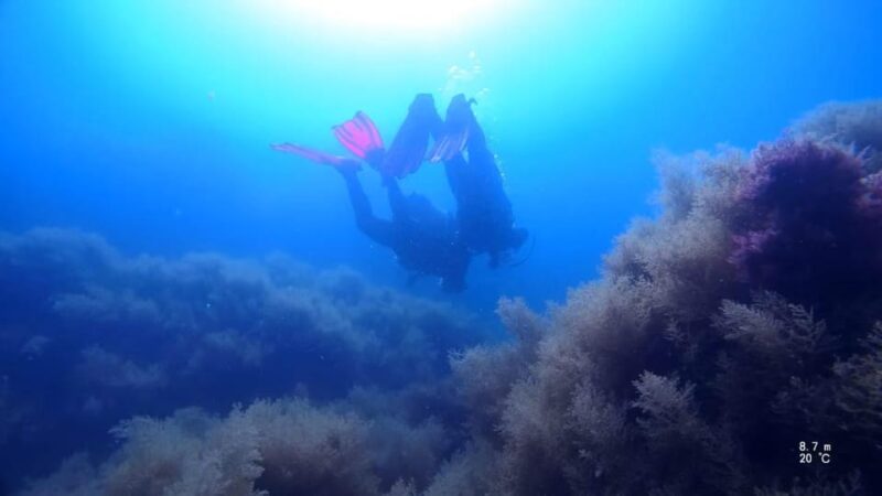 My first scuba dive in the Ocean from Madeira - How the Tour Operates: From Briefing to the Underwater World