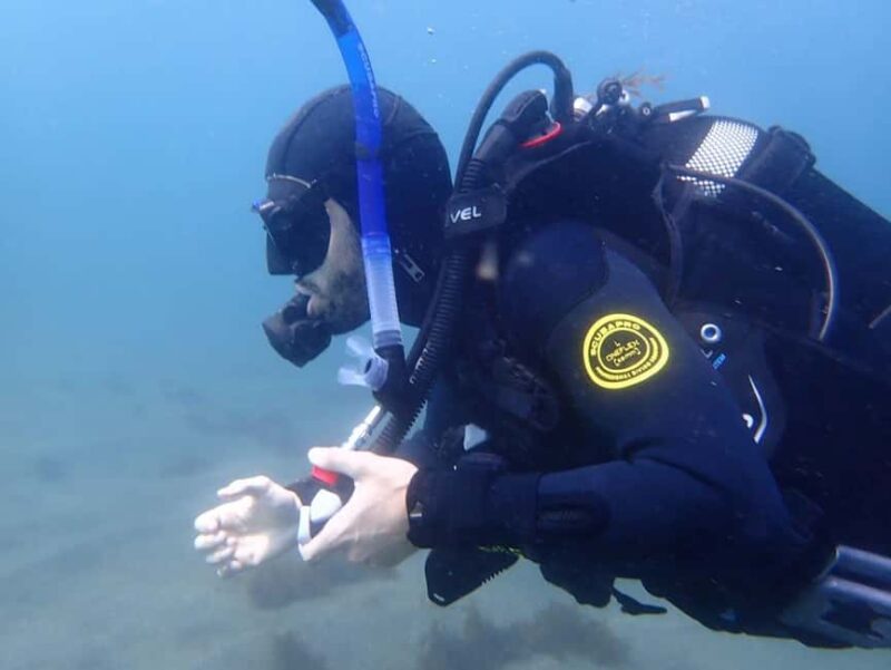 My First Scuba Dive into the Ocean from Terceira - Azores - Experience Your First Ocean Dive in the Azores with Portugal Dive