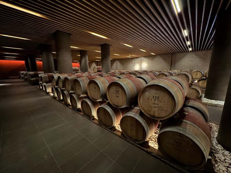 Mycenae-Ancient Nemea-Wine tasting from Nafplio - The Wine Tasting Experience in Nemea