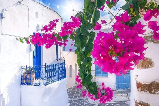 Mykonian Mosaic Tour for the First Time Visitors from Cruise Port - Exploring the Iconic Windmills (Kato Milli)