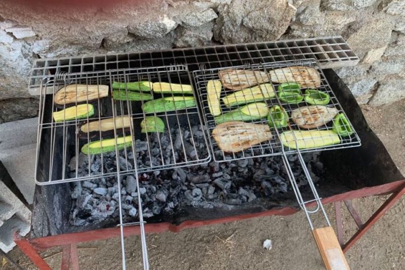 Mykonos: Barbecue at a Mykonian Farm - Visiting a Traditional Mykonian Organic Farm