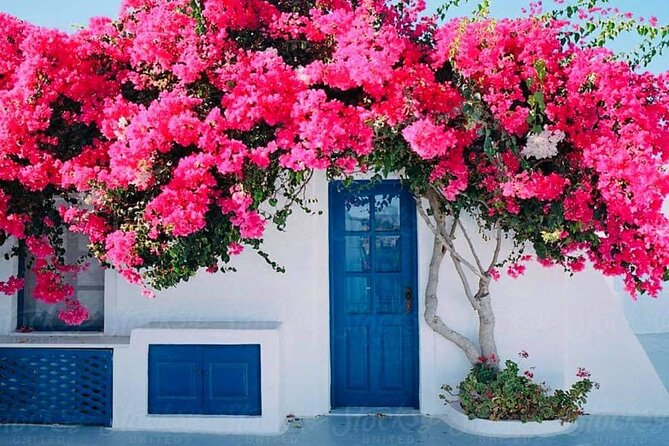 Mykonos Coastal Delights: A Cruise Passenger's Dream Day - Mykonos Town: The Eye-Catching White-Washed Labyrinth