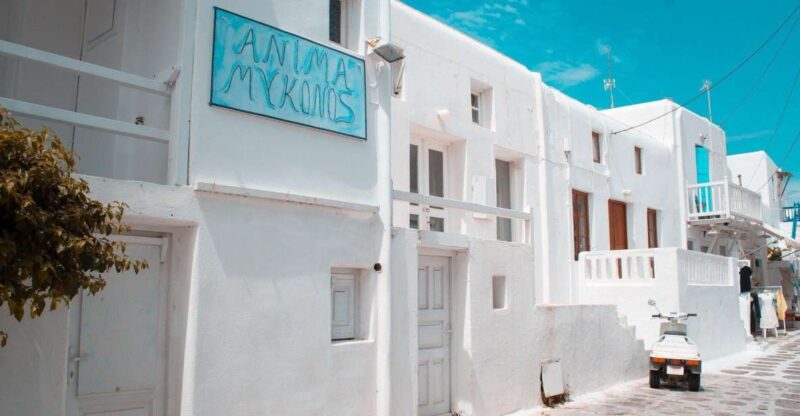 Mykonos: Delos and the city private walking tour - Key Points