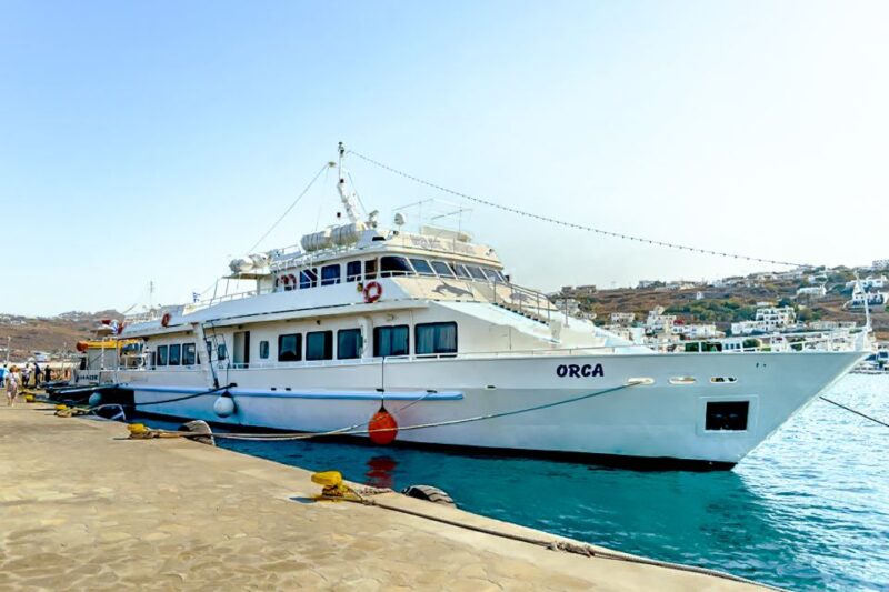 Mykonos: Delos Boat Transfer with Cell Phone Audioguide - The Boat Experience and Onboard Amenities