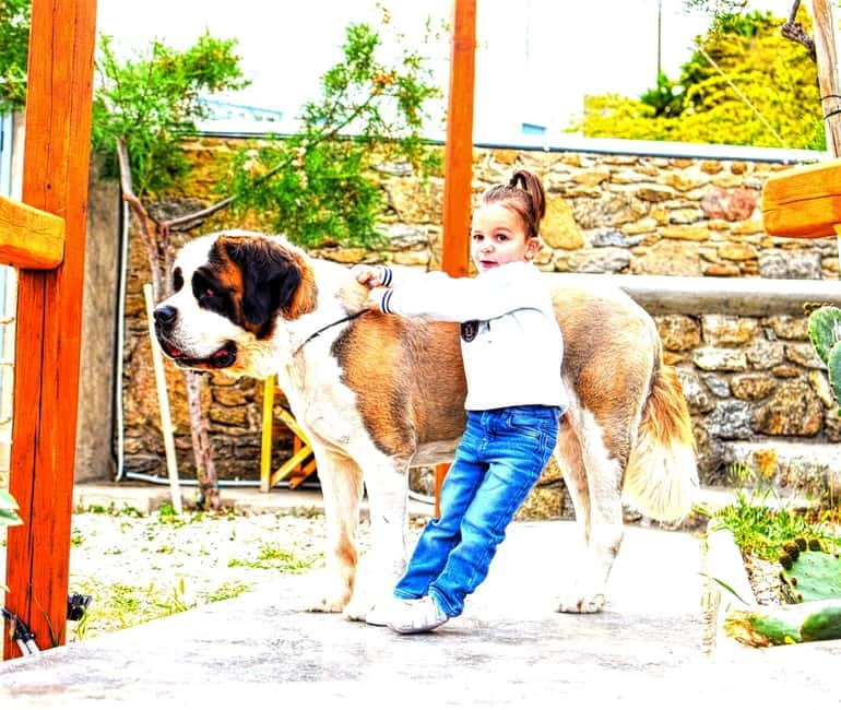 Mykonos: Group Cooking Class at the Home of a Local Family - Why This Cooking Class Excels