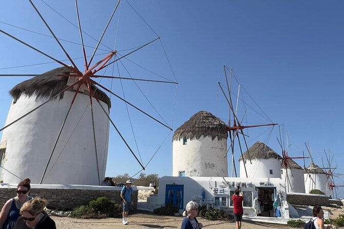 Mykonos Half Day Private Shore Excursion - Key Points