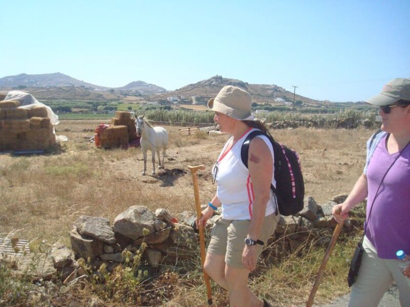 Mykonos Hiking Adventure - Challenging Trail and Panoramic Views from "The Wind"